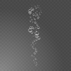 Bubbles under water vector illustration on transparent background