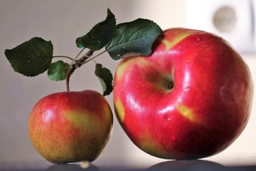 Two ripe red apples lying on a table