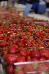 Fruits au marché de Mont de Marsan