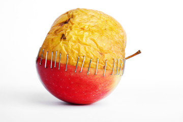  Fresh red and old yellow apple halves with staples on white background, plastic surgery  metaphor