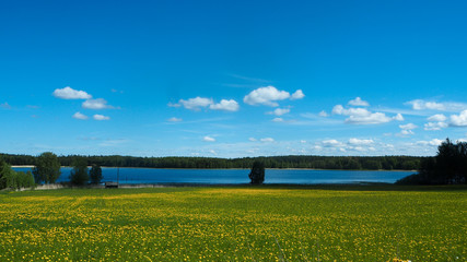 Fototapeta na wymiar finnish lake in summer