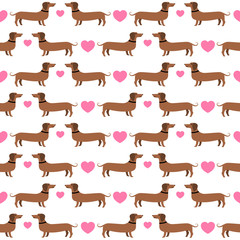Dachshunds with hearts seamless pattern, vector background