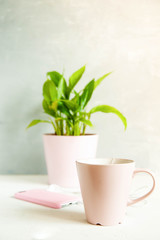 Healthy Breakfast with space for text, top view, pretty pink crockery, phone, flower pot