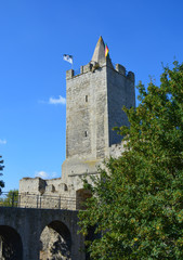 Burgruine mit Turm und Brücke