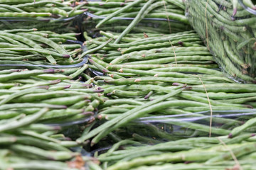 Background of Green Beans sold at city market