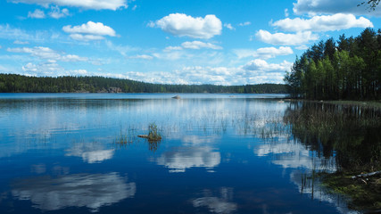 finnish lake in summer