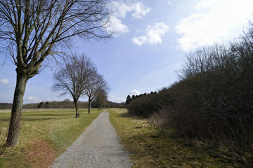 Herbstlandschaft, gerader Weg, Allee in freier Natur, Autumn landscape, straight path, avenue in the great outdoors