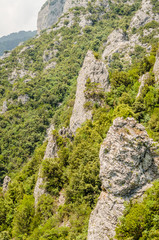 Fototapeta na wymiar Canyon River Enipeas on Mount Olympus near the village of Litochoro in Greece