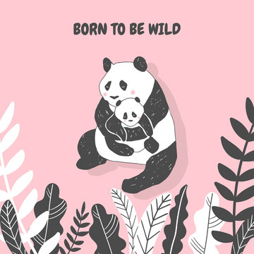 Cute Panda bear illustration, Simple style Birthday greeting card, poster, cover, Wall Print in vector