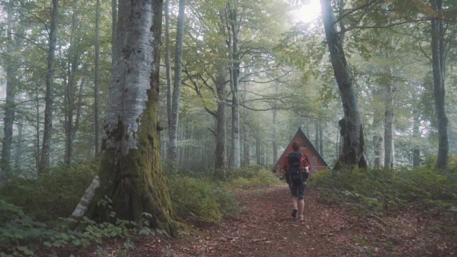 Traveler Girl is walking in to the mist - Mtirala natinal park
