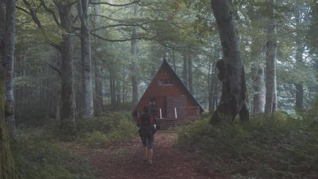 Traveler Girl is walking in to the mist - Mtirala natinal park
