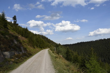 Auf dem Weg zu Wildsee, Deutschland, Baden-W&uuml;rttemberg