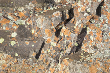 Fels-/Stein-Textur / Vulkangestein mit Flechten überzogen - Hintergrund