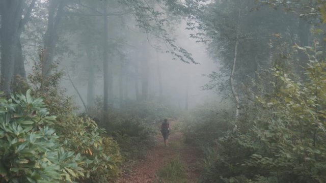 Traveler Girl is walking in to the mist - Mtirala natinal park