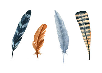 Watercolor birds feathers set. Hand painted artistic elements for design