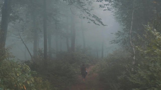 Traveler Girl is walking in to the mist - Mtirala natinal park
