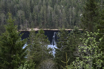 Wildsee, Deutschland, Baden-Württemberg