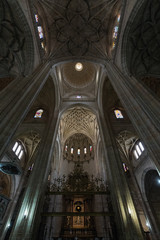 Domes in the Cathedral of Segovia. Spain.