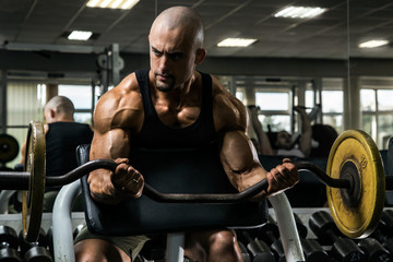 White Muscular man training his arms in the gym by dumbell in the curl bench