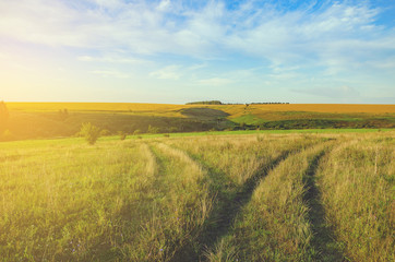 Obraz premium Sunny summer country landscape.Fork in the rural road passing through the fields and meadows.