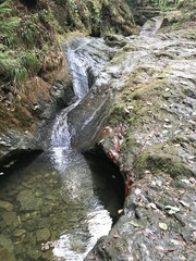 Small brook