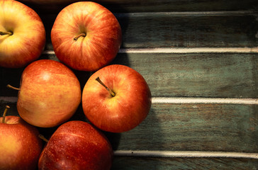 Harvesting the autumn apples