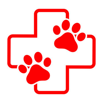 illustration of a dog's paw on the background of a medical cross