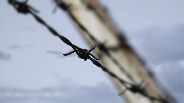 Barbed wire on a gloomy sky
