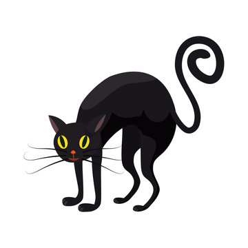 Black cat, holiday Halloween, character, attribute, icon, vector, illustration, isolated, cartoon styyle