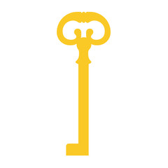 Golden key vector