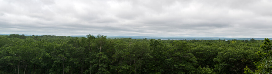 Obraz premium Panorama trees Michigan