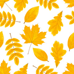 Yellow leaves pattern