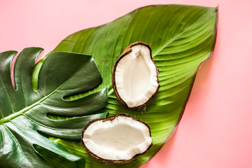 tropical leaves and a coconut on a pink background