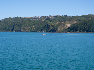 Speed Boat On Wellington Harbour