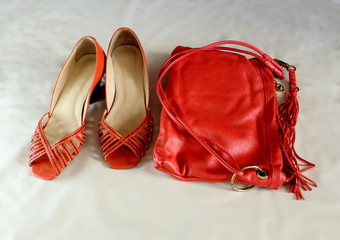 Uma bolsa e um par de sapatos feminino