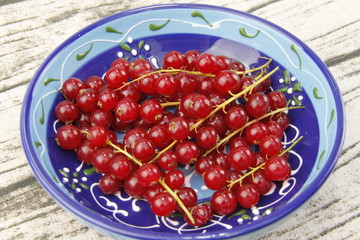 Groseilles dans un bol