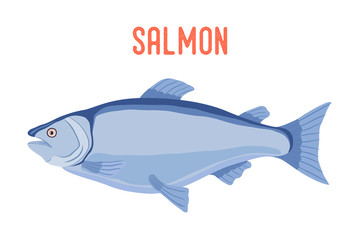 Obraz premium Vector salmon fish, fresh seafood.