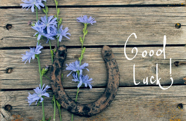 A bouquet of wild flowers and an old horseshoe on a wooden background/card 