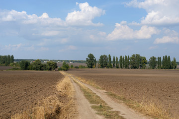 Fototapeta na wymiar road near a plowed field
