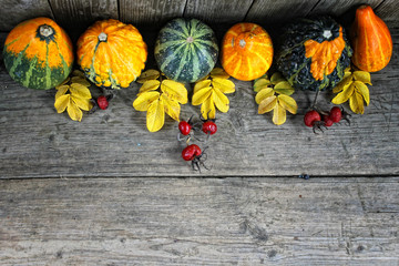 Autumn harvest/ settings table/thanksgiving day background