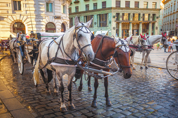Fototapeta na wymiar Horse-drawn carriage or Fiaker, popular tourist attraction, on Michaelerplatz in Vienna, Austria