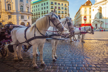 Naklejka na ściany i meble Horse-drawn carriage or Fiaker, popular tourist attraction, on Michaelerplatz in Vienna, Austria