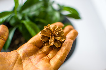 hand painted in golden paint hold pine cones on background with green leaves of tangerine tree