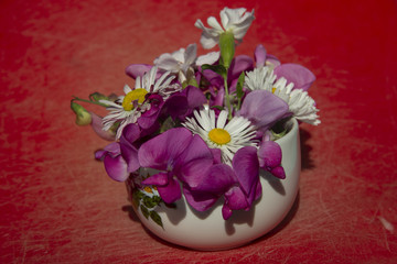 flowers in a cup