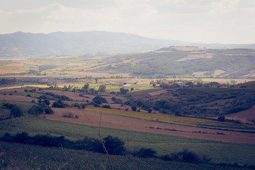 Naklejka premium field landscape
