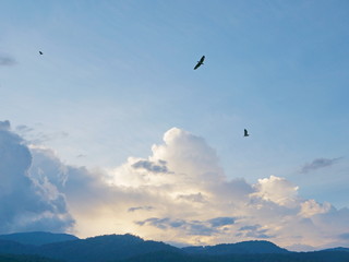 Fototapeta na wymiar Blue shade of evening sky, hills, and flying birds in the North of Thailand