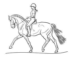 Equestrian sport dressage. A sketch of a horsewoman on a horse.