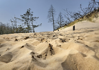 Słowinski National Park, Łeba, Poland - dunes