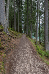 Obraz premium Dolomites Italy, landscapes and nature