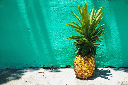 Huge Pineapple on turquoise wall with sunlight, Bacalar, Mexico